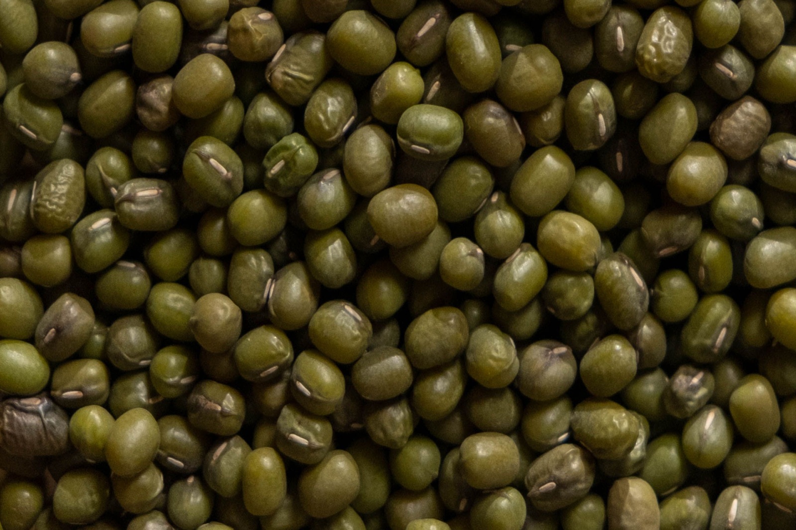 Mung Beans